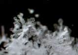 Snowflakes