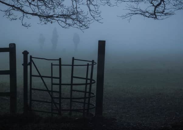 This rather haunting picture of a foggy Ashridge Woods was sent in by Steve Jones. Thanks for such an atmospheric picture Steve. Keep your photographs coming in to us here at the Gazette.