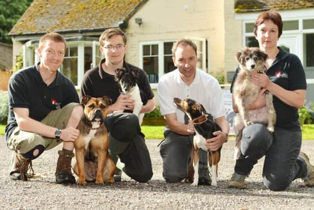 Chiltern Dog Rescue Society at Chivery near Tring