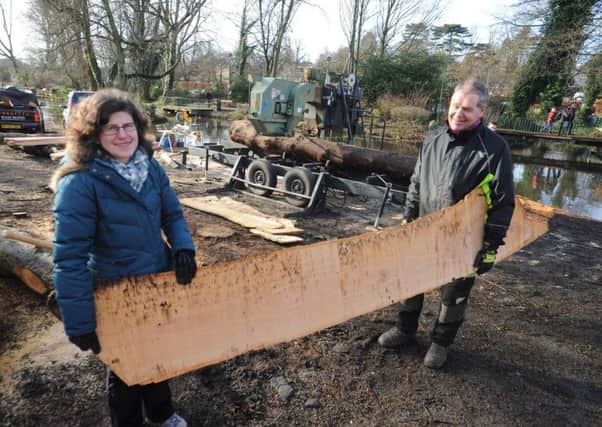 Slicing up trees and making bird boxes in Water Gardens, Hemel Hempstead. Claire Covington and Colin Chambers, organisers, with a fresh plank to be cut up for bird boxes