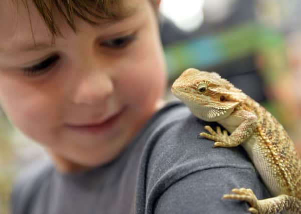 Pets At Home reptile workshops