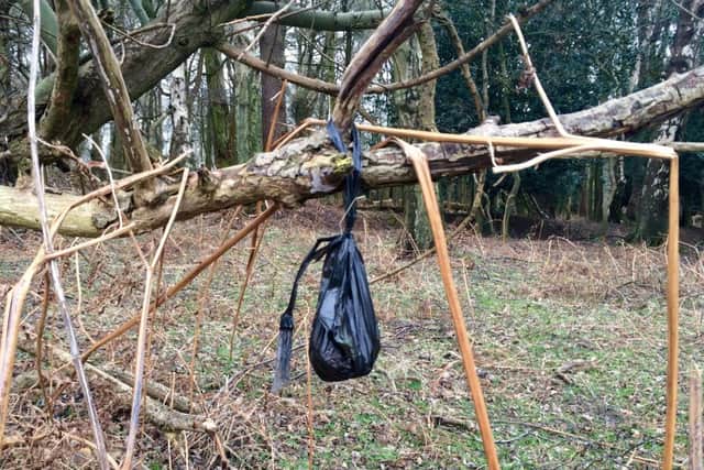 Dog waste bags hung from trees around the Ashridge Estate