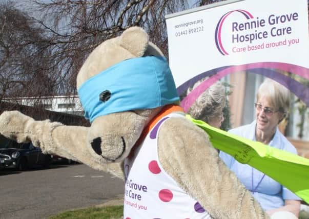 Rennie Bear launches new fundraising 10K run for Hemel Hempstead.