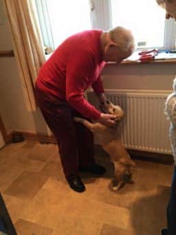 Rod Chinn and his dog Jack, who were reunited after the Parsons Jack Russell went missing for nearly three weeks