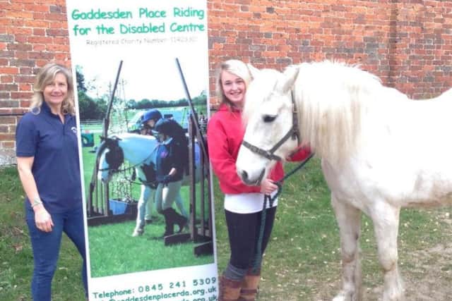 The good cause that inspired Sophie's wing walk.