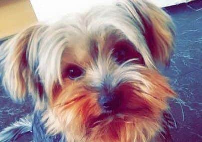 Bailey