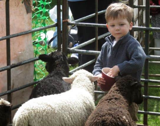 Tring Spring Fayre, April 2015. Photo: Chris Reynolds