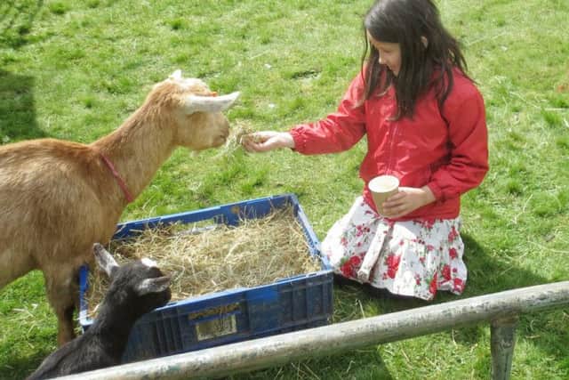 Tring Spring Fayre, April 2015. Photo: Chris Reynolds