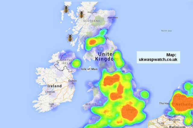 A heat map showing where wasps have been most prevalent