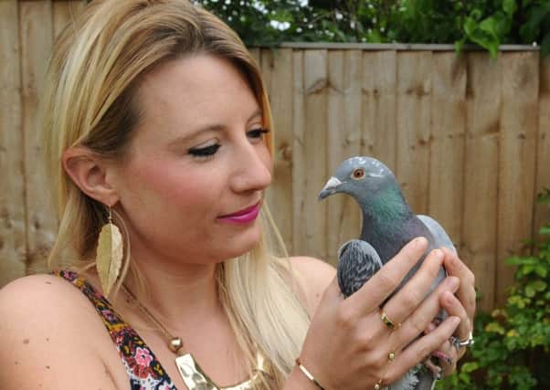 Sarah Poynter and saved pigeon 'Riley' at home in Hemel Hempstead