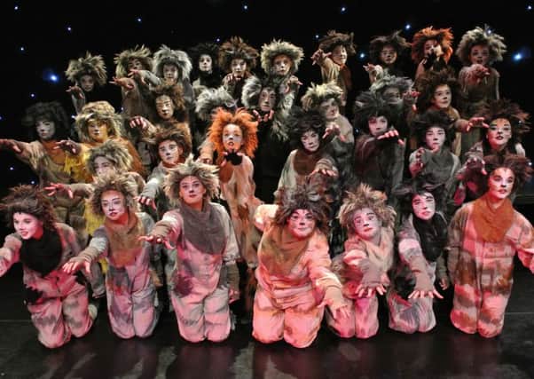 Spotlight Youth Theatre's production of CATS