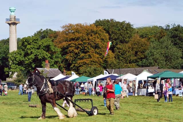 Heavy horse and stands at Ashridge.  Picture by John Morris