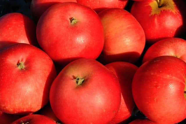 Apples