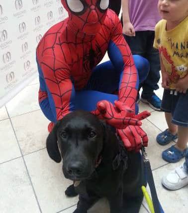Bounce meets Spiderman.