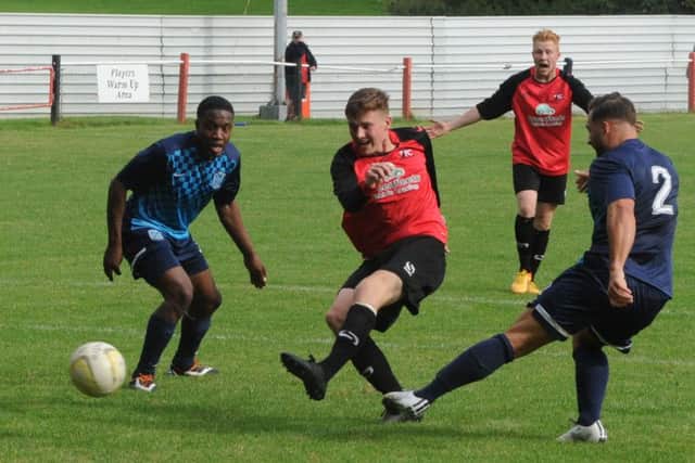Bertie Squires-Adams was on target for Tring