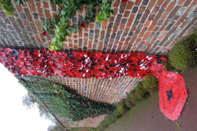 Ashlyns Poppy wall