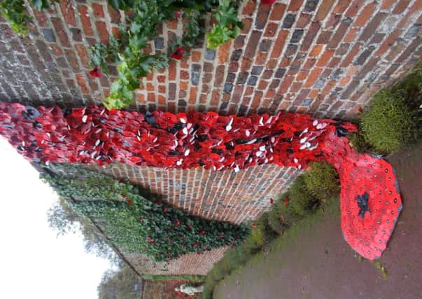 Ashlyns Poppy wall