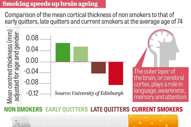 Graphic illustrating relative thickness of the cortices of non-smokers, quitters and current smokers