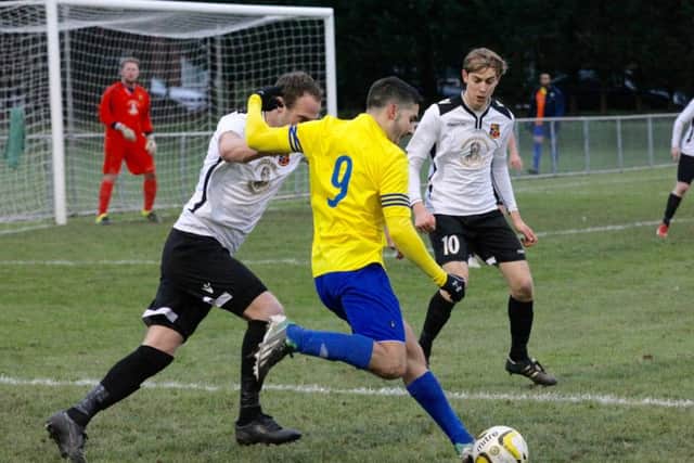 Alex Campana in action for Berkhamsted against Hoddesdon. Picture (c) Ray Canham
