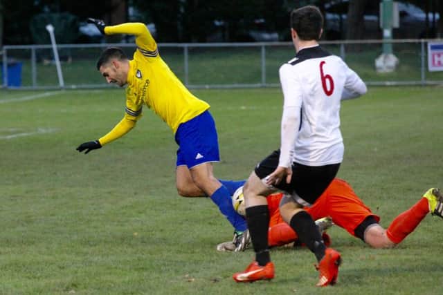Alex Campana in action for Berkhamsted against Hoddesdon. Picture (c) Ray Canham
