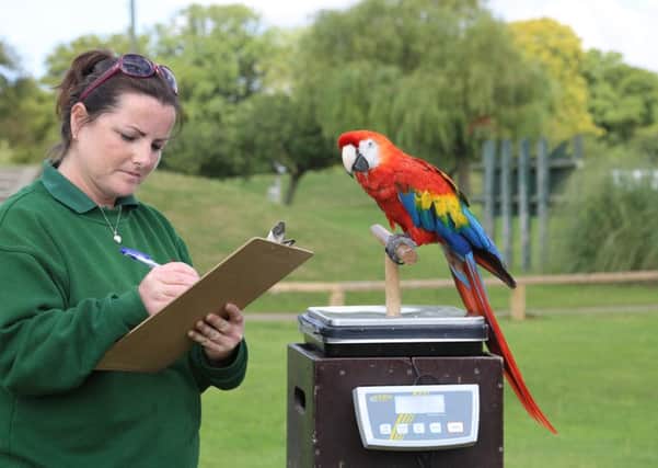 Staff have to count every animal at the zoo.