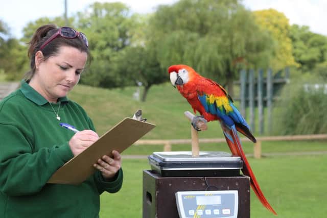 Staff have to count every animal at the zoo.