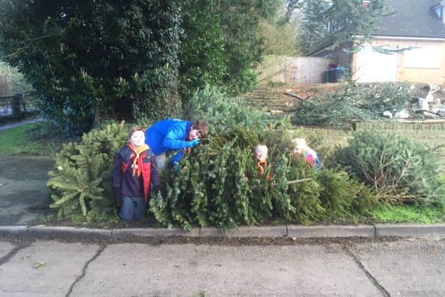 Scouts collecting Christmas trees in Dacorum, January 2016