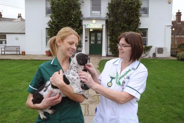 Carol Brown, right, with Olive the shih tzu and veterinary nurse Megan Godfrey, left