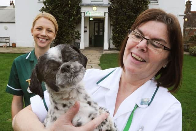 Carol Brown, right, with Olive the shih tzu and veterinary nurse Megan Godfrey, left