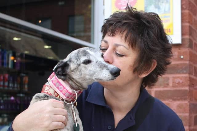 Can you spare time to help Greyhound Rescue?
