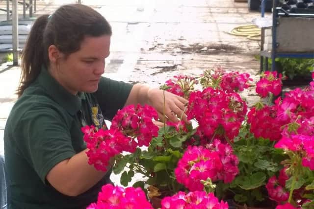 Claudia working at the Sunnyside Rural Trust