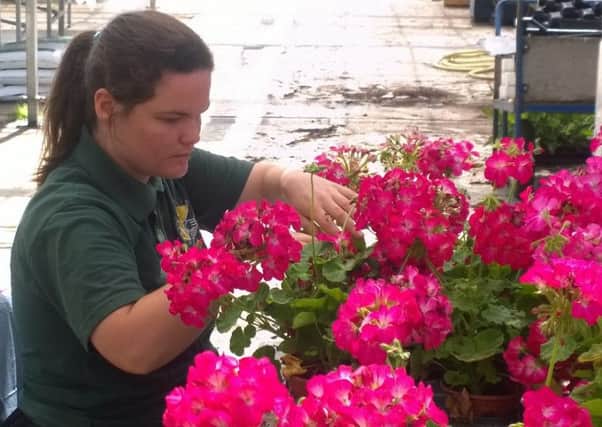 Sunnyside Rural Trust provides work skills in horticulture to adults with learning disabilities