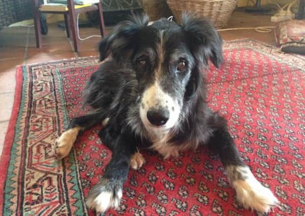 The late Badger, who used to perform in Of Mice and Men