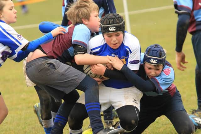Hemel Hempstead Rugby Club hosted an extremely successful U11 and U12 County Festival. Picture (c) Gary Dovell, www.take2eventphotos.co.uk