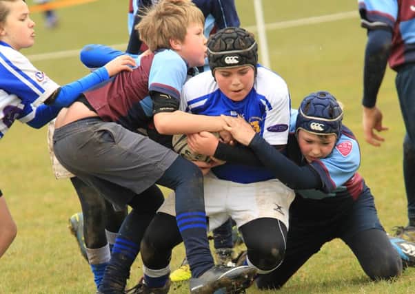 Hemel Hempstead Rugby Club hosted an extremely successful U11 and U12 County Festival. Picture (c) Gary Dovell, www.take2eventphotos.co.uk