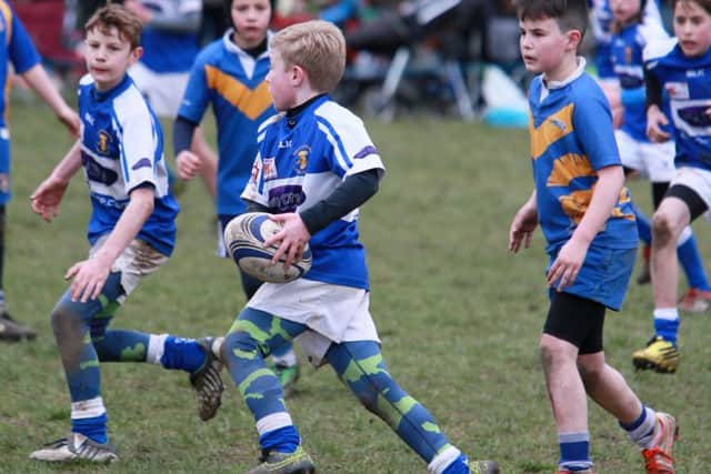 Hemel Hempstead Rugby Club hosted an extremely successful U11 and U12 County Festival. Picture (c) Gary Dovell, www.take2eventphotos.co.uk