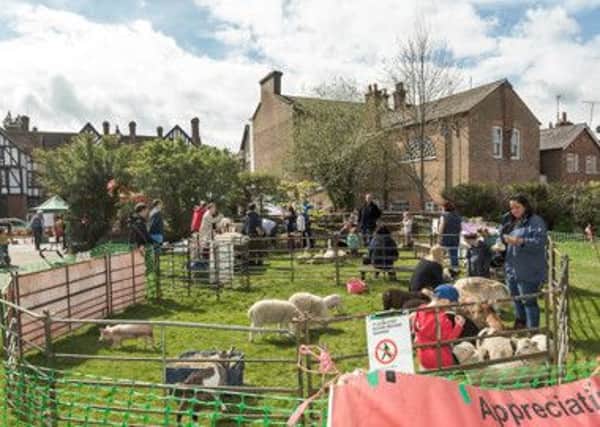 Petting zoo at Tring's Spring Fayre