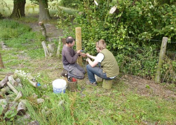 Farmers fencing. Picture copyright Heather Jan Brunt.