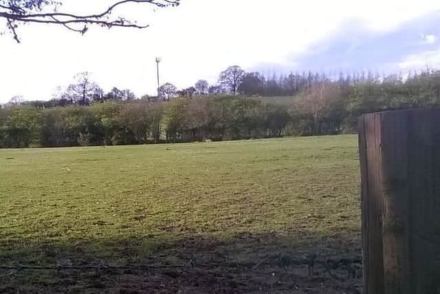 Sighting of a 'big cat', thought to be a puma, in Chaulden Lane, Hemel