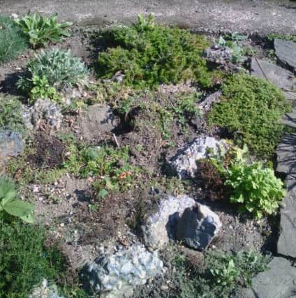 Hertfordshire Puddingstone