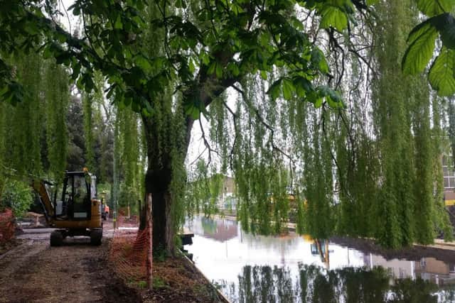 A willow tree in the Water Gardens, which is undergoing a major refurbishment project