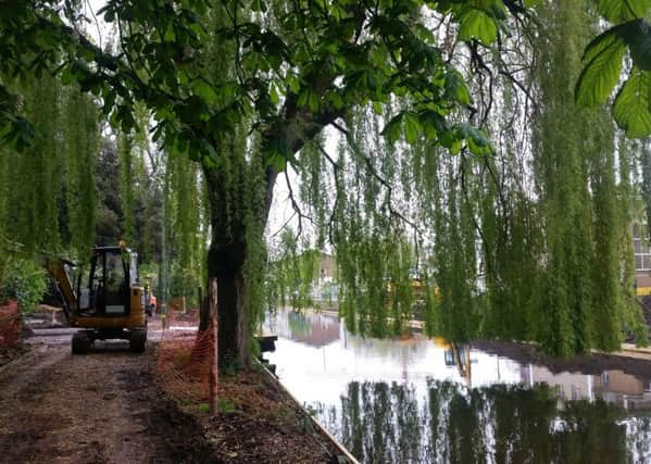 A willow tree in the Water Gardens, which is undergoing a major refurbishment project