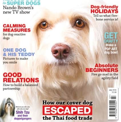 Princes Eurilope Patches, known as Doodee, on the front cover of July's Dog Monthly magazine