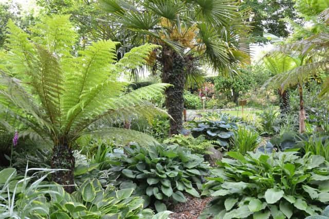 The garden at St Michael's Croft