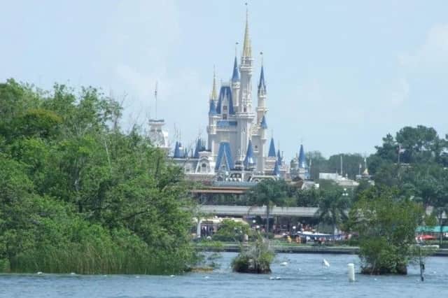 The Seven Seas Lagoon at Disney World