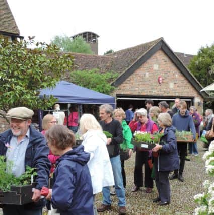 Waiting to pay at the Markyate Plant Sale 2016