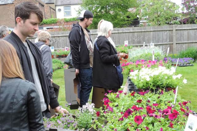 Markyate Plant Sale 2016