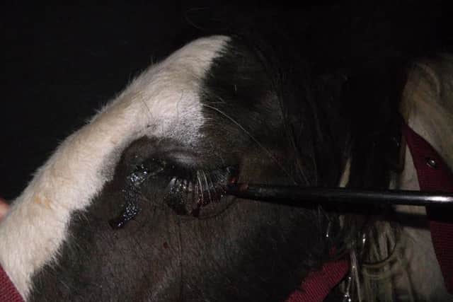 Widget had a 'lucky escape'