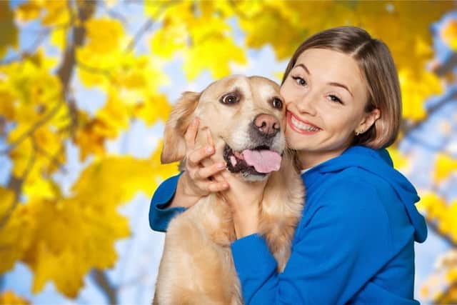 Protect your dog