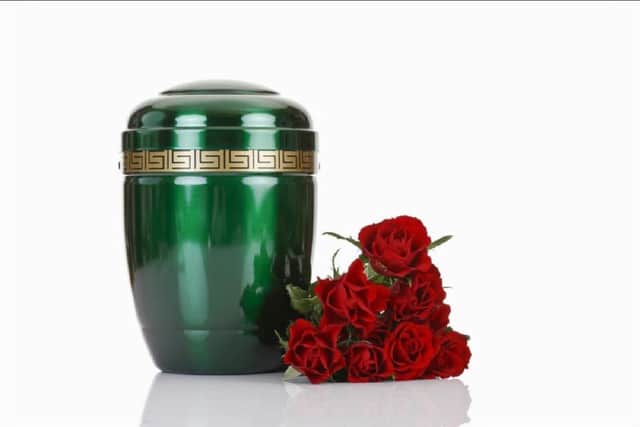 From killer fish to urns, the strangest things that have been left on buses